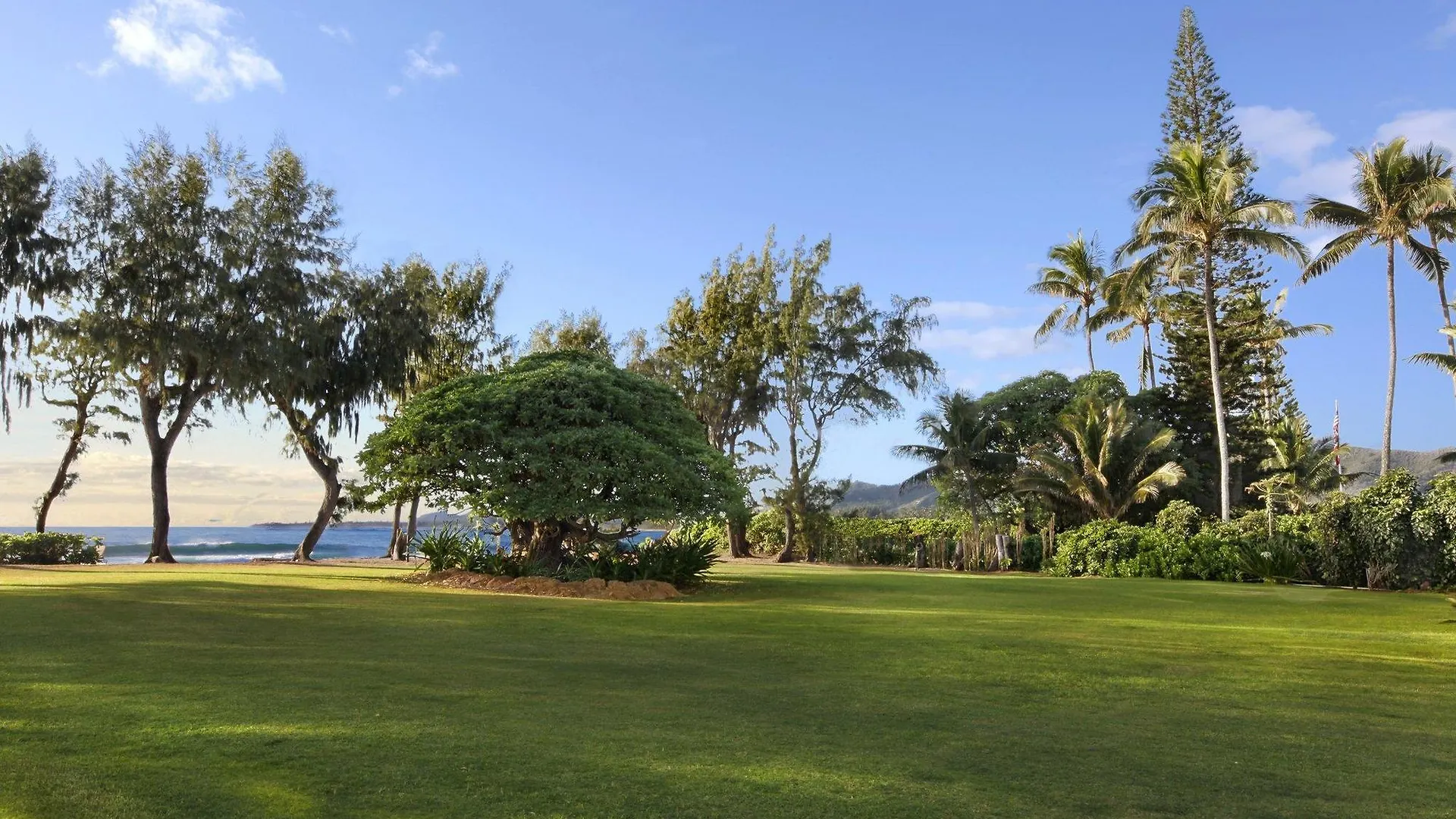 Kauai Shores Hotel Kapa'a